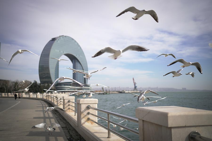 Израильский футболист переехал в Азербайджан и играет за «Сумгаит»